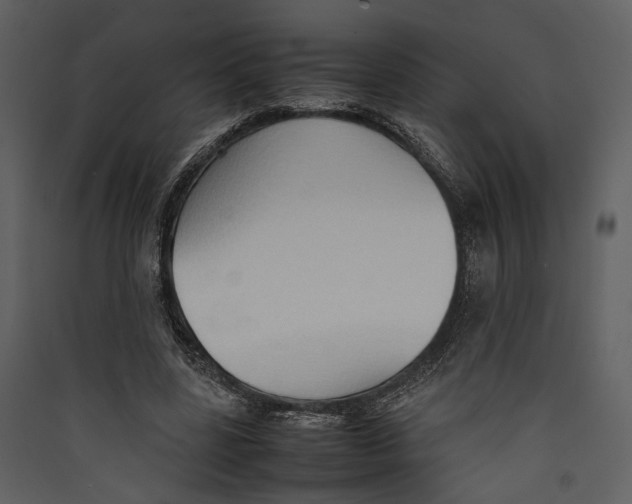 X0000089370539200707131639