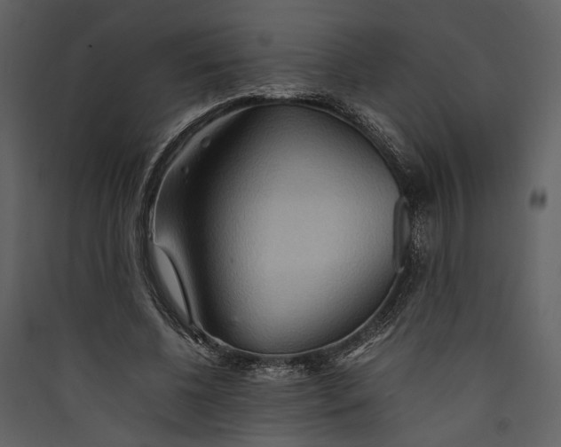 X0000089370540200707131639