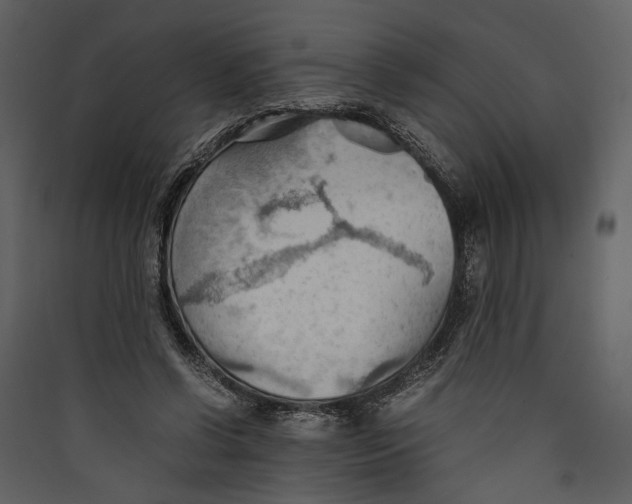 X0000089370542200707131639