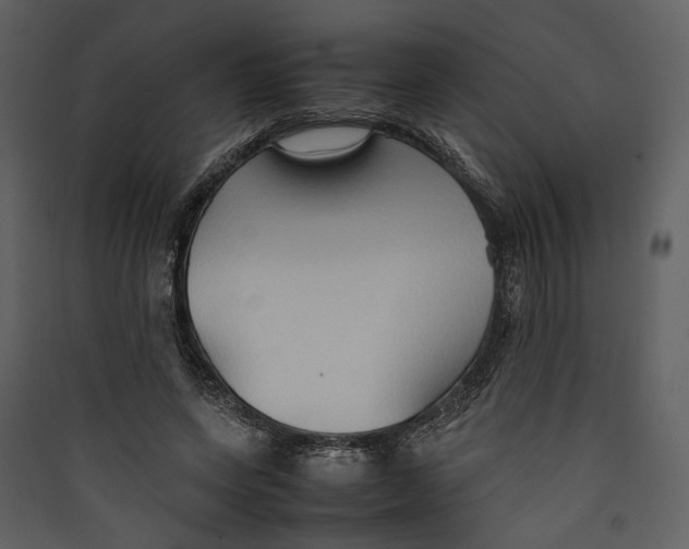 X0000089370543200707131639