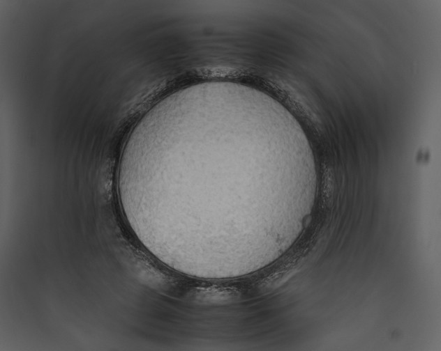 X0000089370545200707131639