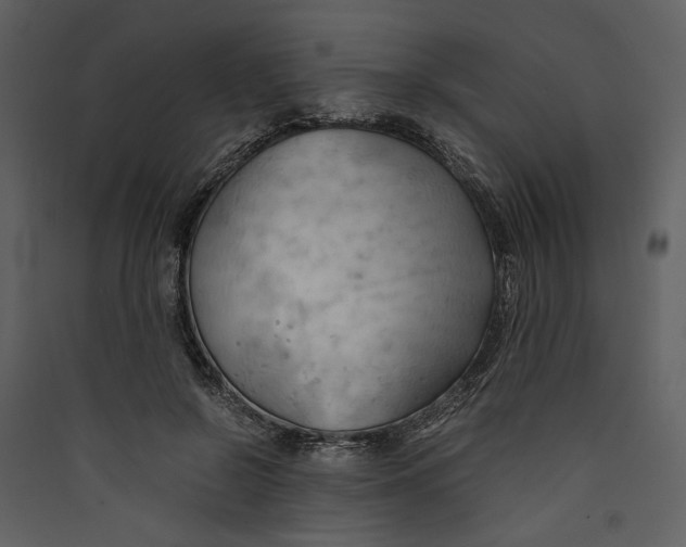 X0000089370550200707131639