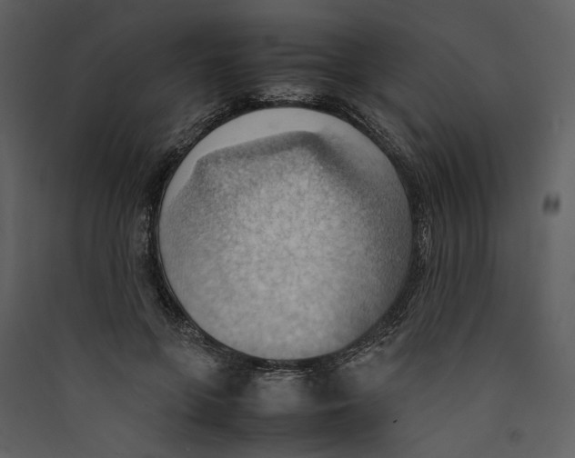 X0000089370551200707131639