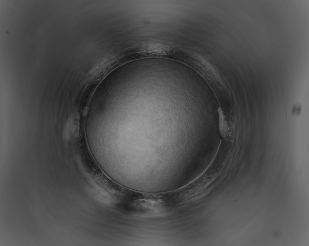 X0000089370552200707131639