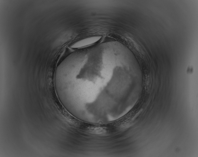 X0000089370553200707131639