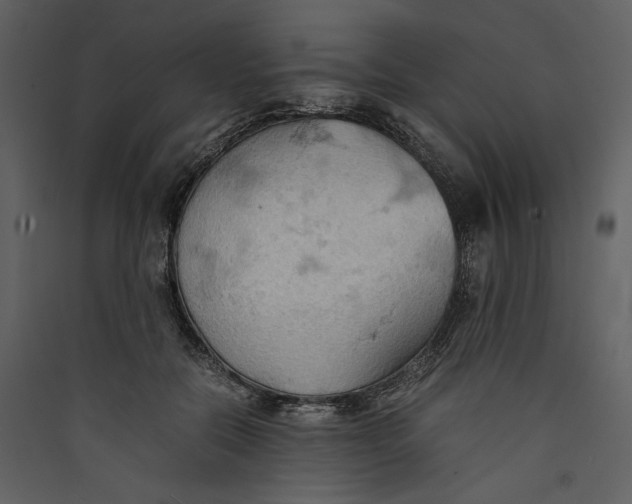 X0000089370554200707131639