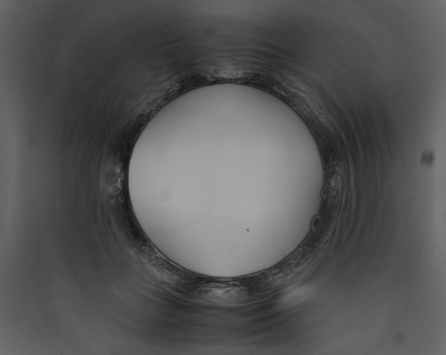 X0000089370555200707131639