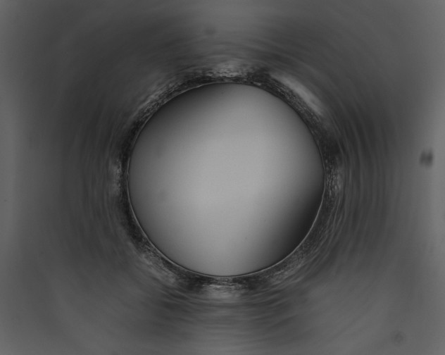 X0000089370556200707131639