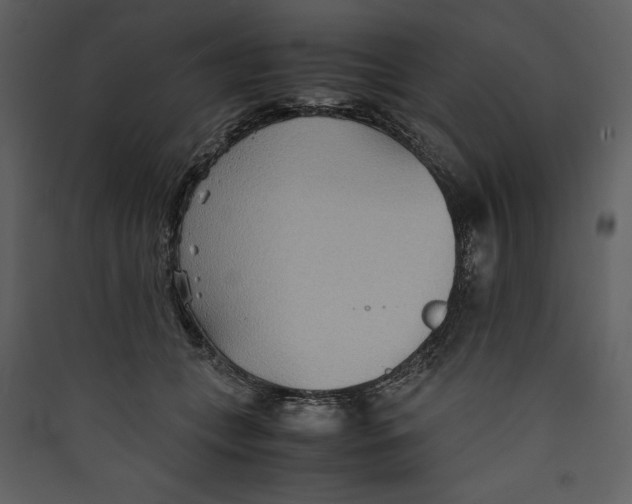 X0000089370559200707131639