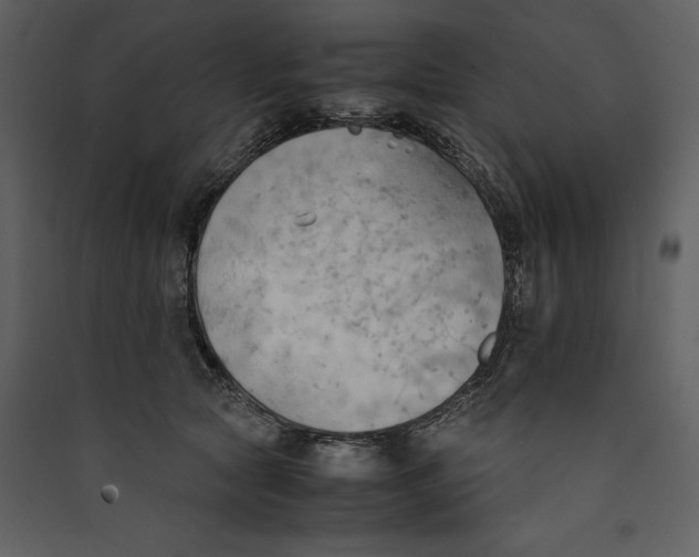 X0000089370561200707131639