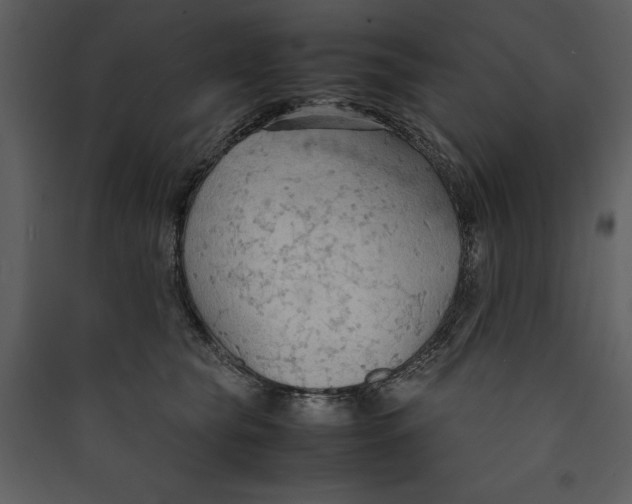 X0000089370565200707131639