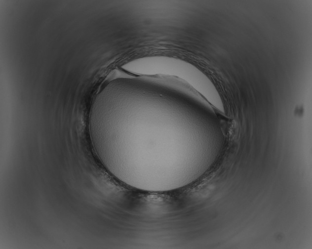 X0000089370566200707131639