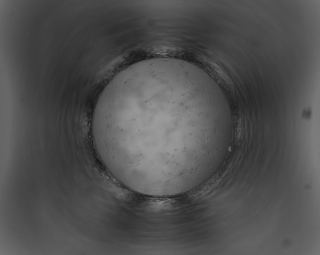 X0000089370569200707131639