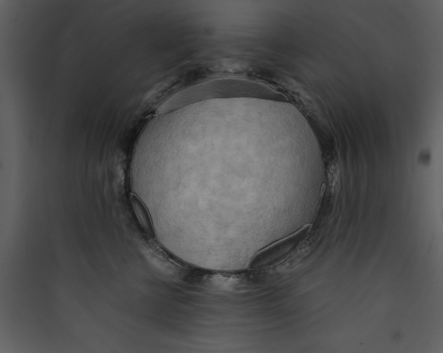 X0000089370570200707131639