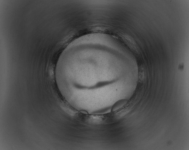 X0000089370573200707131639