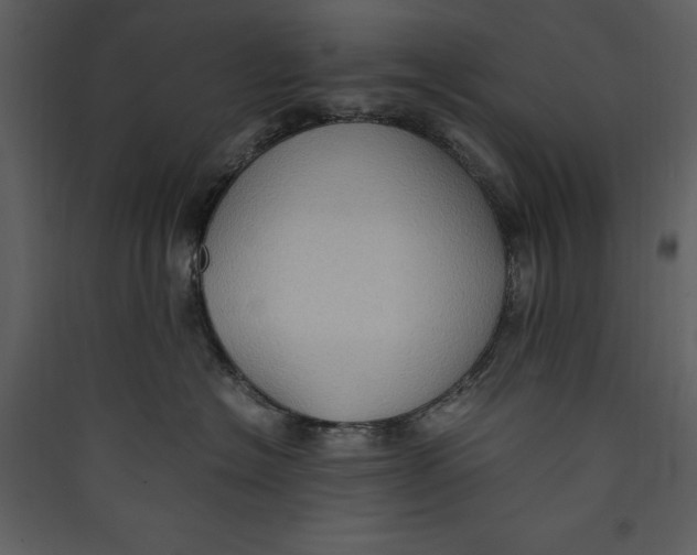 X0000089370574200707131639