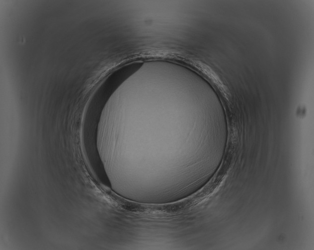 X0000089370577200707131639