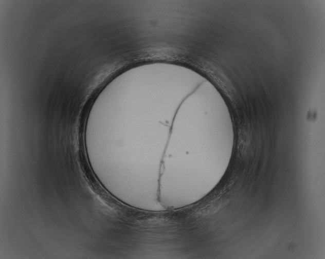 X0000089370578200707131639