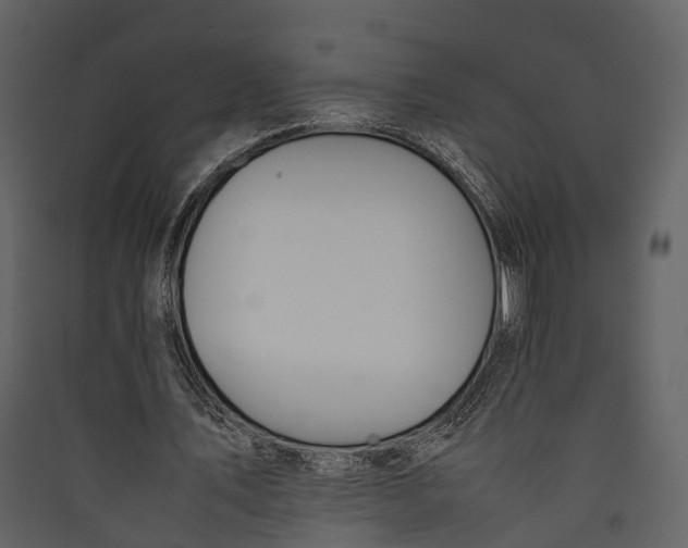 X0000089370579200707131639