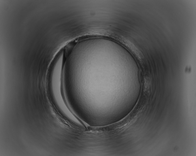 X0000089370580200707131639