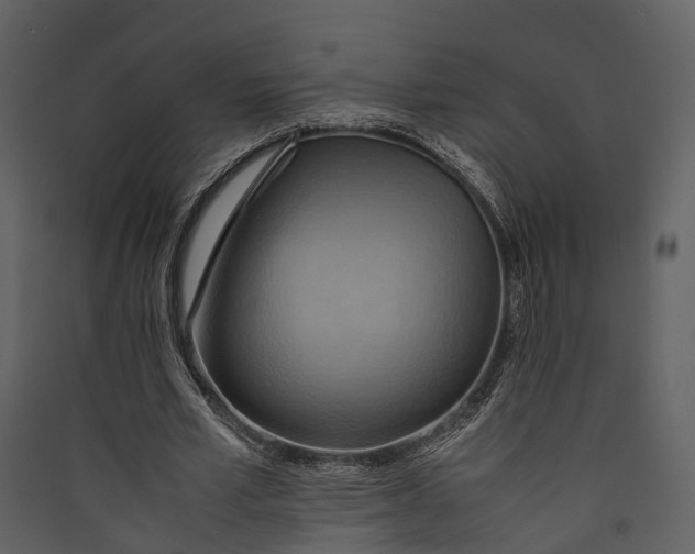 X0000089370581200707131638