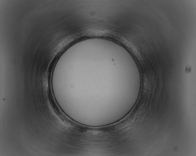 X0000089370582200707131638