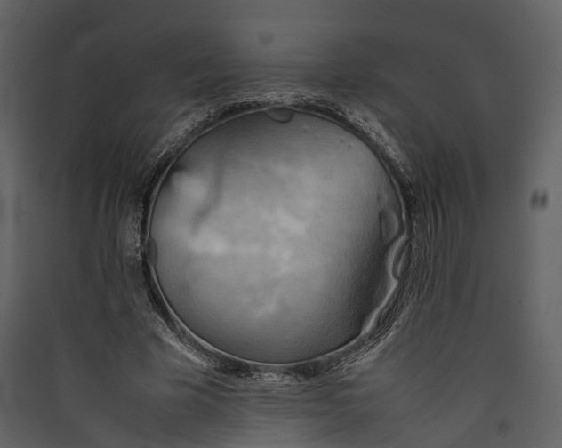 X0000089370585200707131638