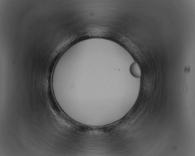 X0000089370586200707131638