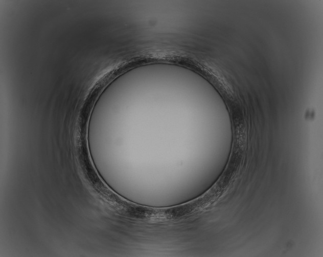 X0000089370587200707131638