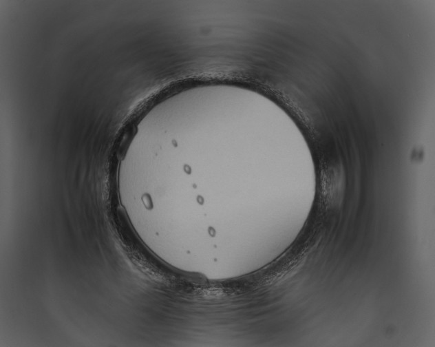 X0000089370588200707131638