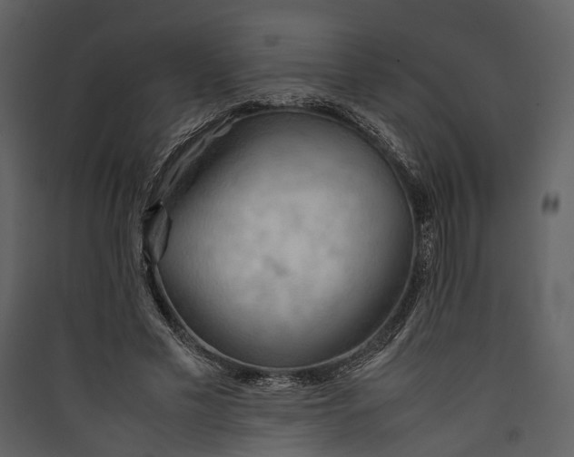 X0000089370589200707131638