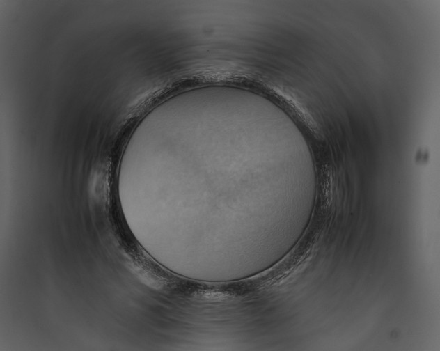 X0000089370590200707131638