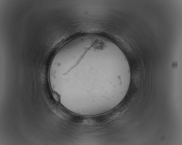 X0000089370591200707131638