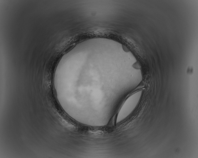 X0000089370593200707131638