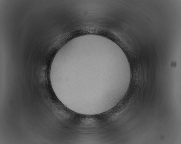 X0000089370594200707131638