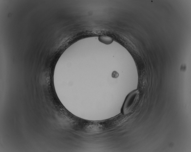 X0000089370595200707131638