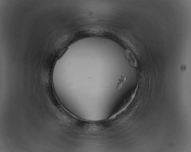 X0000089370597200707131638