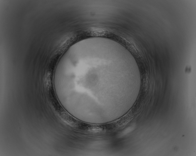 X0000089370598200707131638