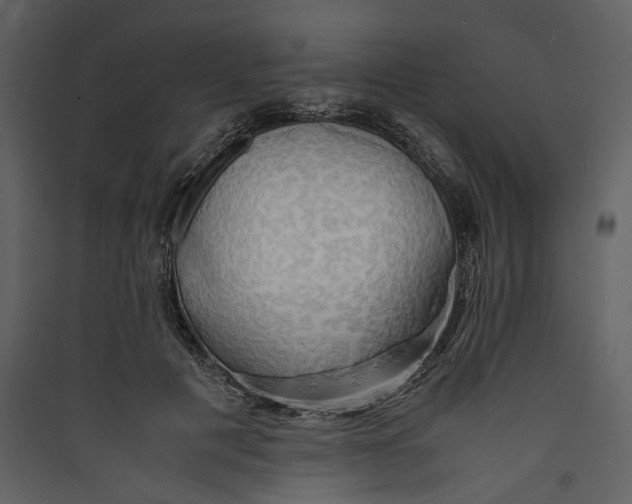 X0000089370601200707131638