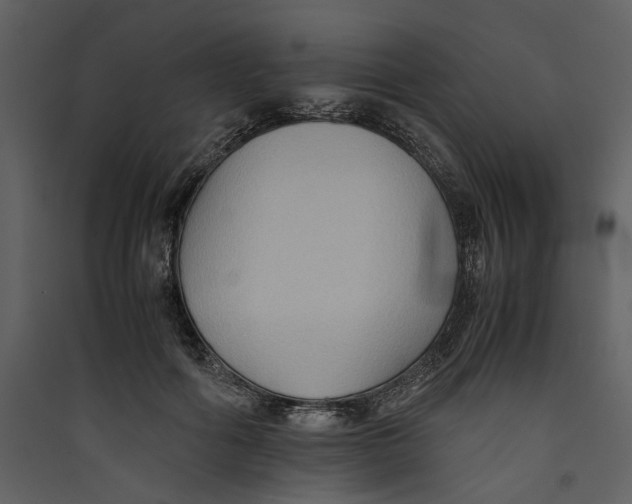 X0000089370602200707131638