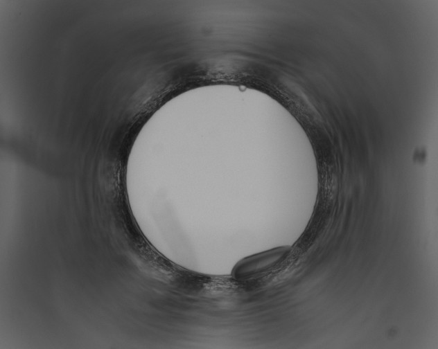 X0000089370603200707131638