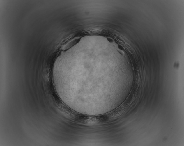 X0000089370604200707131638