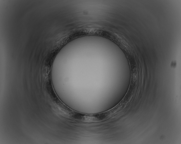 X0000089370605200707131638