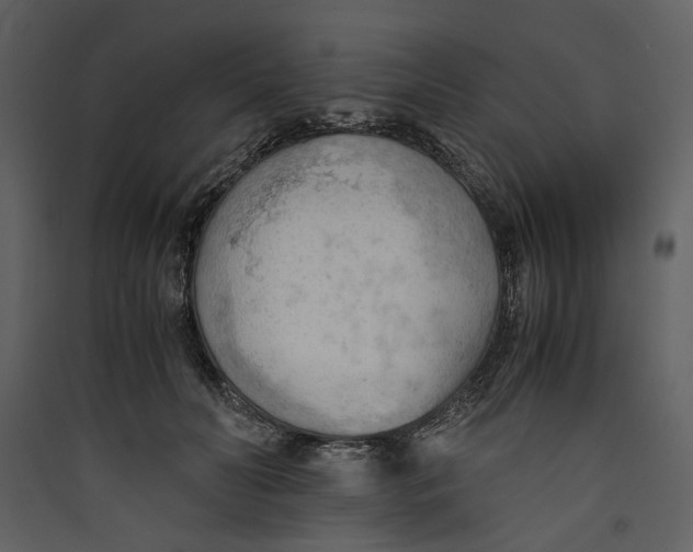 X0000089370606200707131638