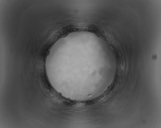 X0000089370609200707131638