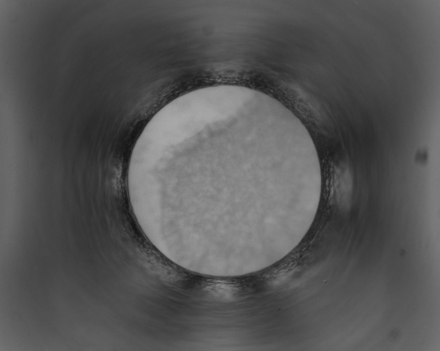 X0000089370610200707131638