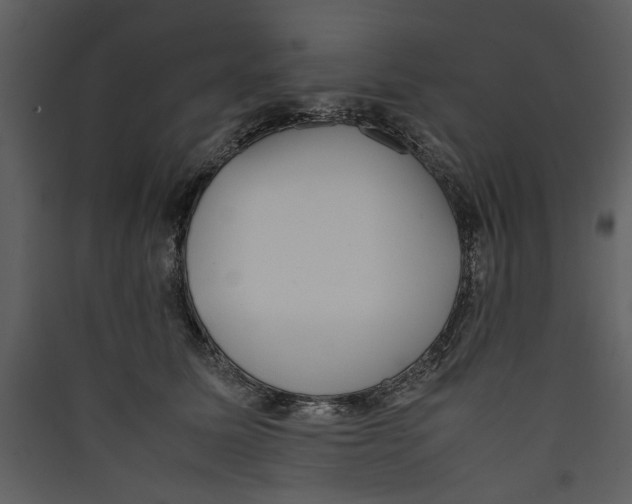 X0000089370611200707131638