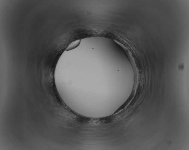 X0000089370613200707131638