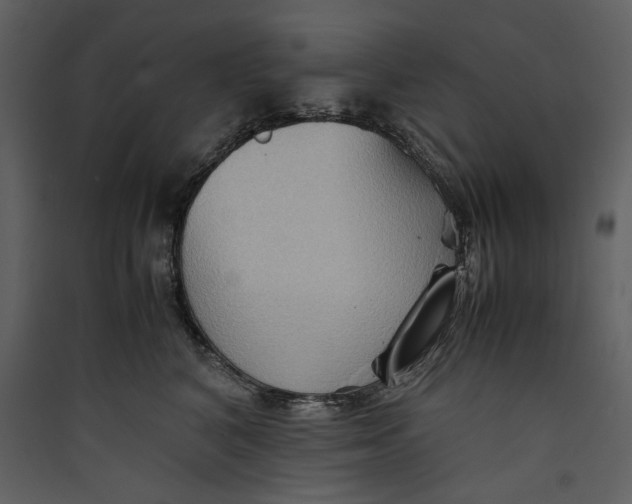 X0000089370616200707131638