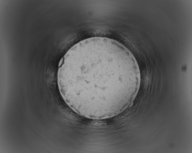 X0000089370619200707131638